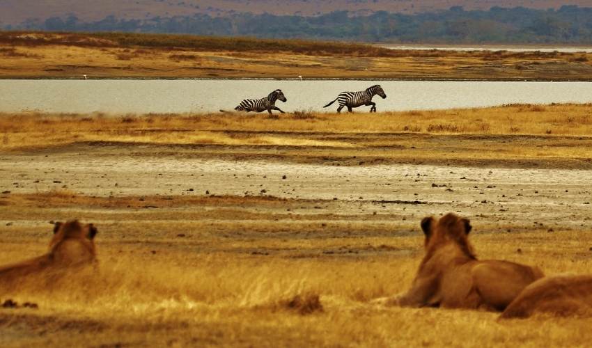 VIAJE AVENTURA EN TANZANIA CON ZANZIBAR (EN 4X4)  DESDE QUERETARO