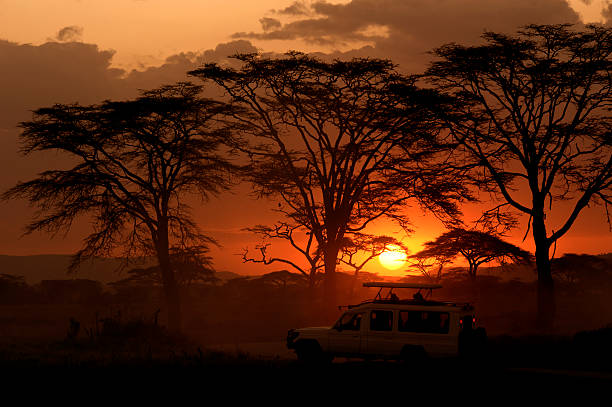 VIAJE SUDAFRICA ESENCIAL Y CATARATAS VICTORIA (ZIMBABWE)  DESDE QUERETARO