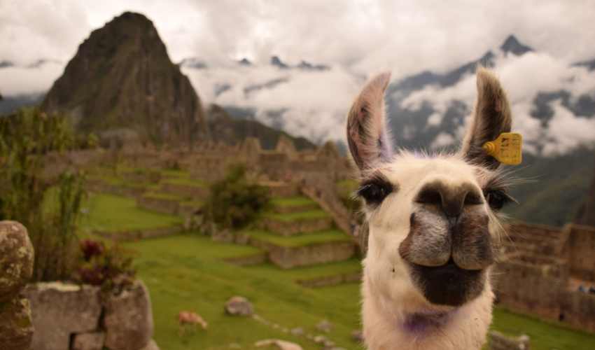 VIAJE MACHU PICCHU INN  DESDE QUERETARO